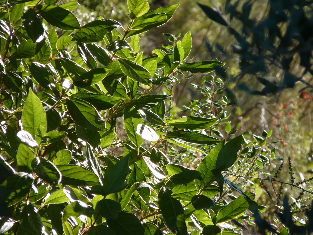 No s'ha trobat l'arxiu